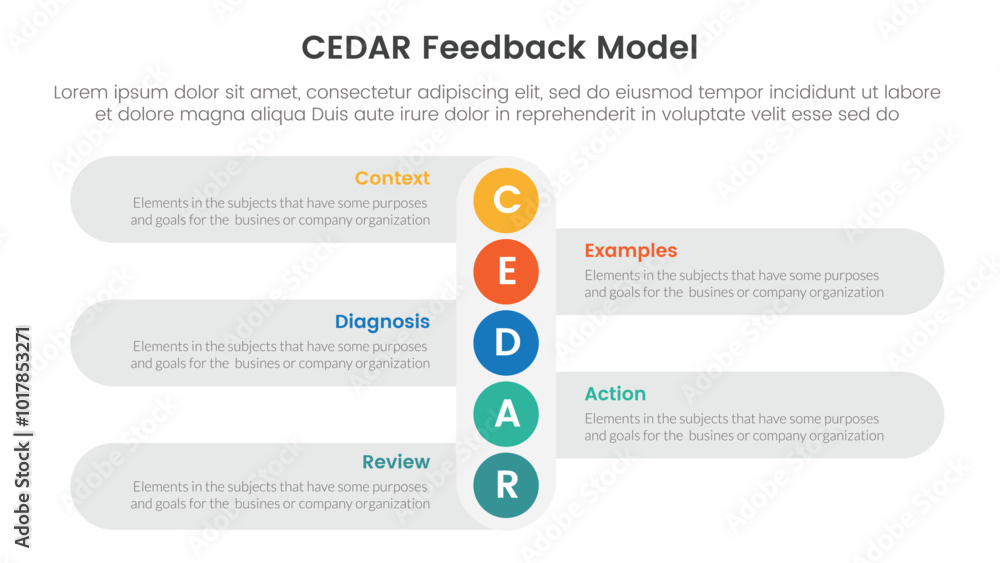 Poster cedar feedback model infographic template banner with vertical small circle down direction with circ