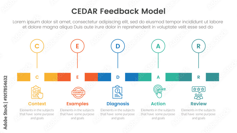 Poster cedar feedback model infographic template banner with timeline rectangle box and outline circle poin