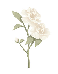 Obraz premium bouquet of flowers