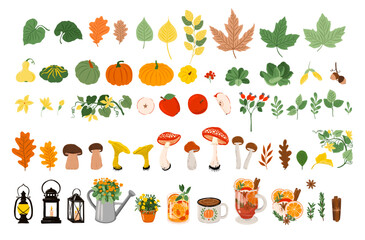 Vector set of Autumn decoration - leaves, pumpkins, mushrooms, apples, lanterns, hot autumn drinks, flowers, oak, maple isolated on white background