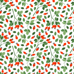 Vector seamless pattern with hand drawn rosehip branches and green leaves isolated on white background