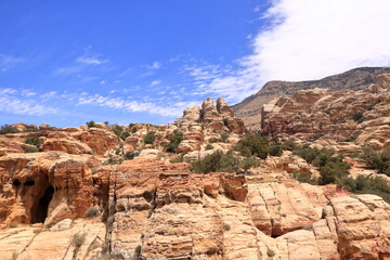 Fototapeta premium Typical landscape and rock forms in Dana Biosphere Nature Reserve National Park, Jordan