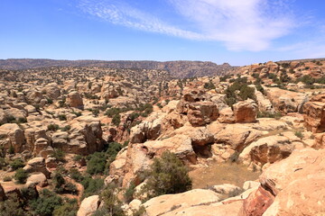 view of the landscape of the Dana Biosphere Nature Reserve National Park, Jordan