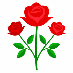 Fototapeta premium Red roses symbolize love and romance, and red roses on a white background are a classic Valentine's Day gift