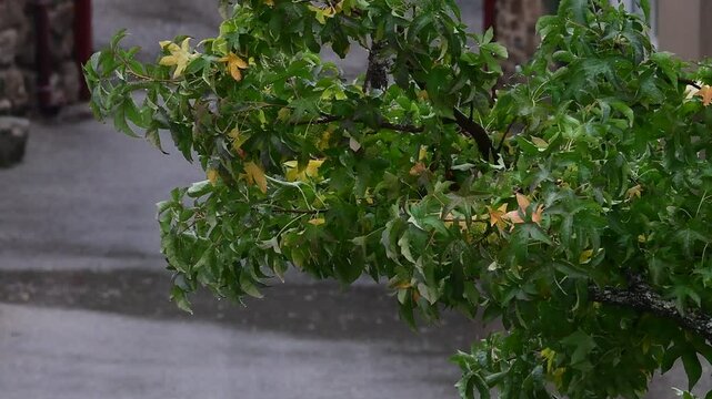 Rainy weather in a mountain village in France in the Auvergne Rhone Alpes region. Rain in autumn.