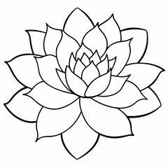 lotus flower vector