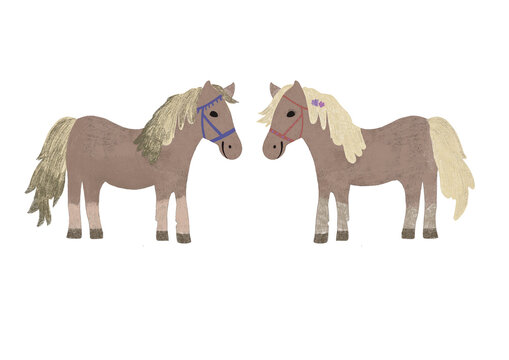 two horses on white, pony
