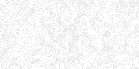 White wave paper curved reliefs abstract background. The topographic map contour in lines isolated. Abstract white topographic map background with lines. Background of the topography map.