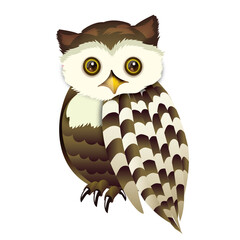Cute Owl Brown and Beige Sitting Position Vector