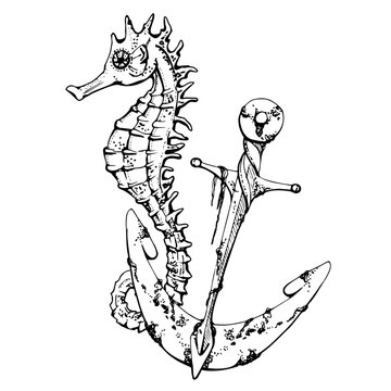 recommend clip art: Seahorse with anchor, Marine life, sea ocean underwater creatures animal, Ink and pen sketch hand drawn. Composition illustration, stylized, isolated on white. Zoo shop, aquarium, cosmetics, resort