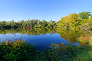 Episy ponds in the French Gâtinais Regional Nature Park 