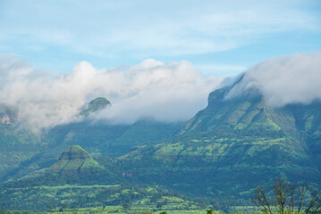 Obraz premium Monsoon landscape, rainy season, Climate change, Amazing Dramatic view, Maharashtra, India. background, cover, poster, wallpaper, soft focus