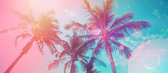 Palms With Pink Pop Art Effect Vintage Photo With Light Leaks Summer Palm Trees Over Sky On Beach Travel Concept