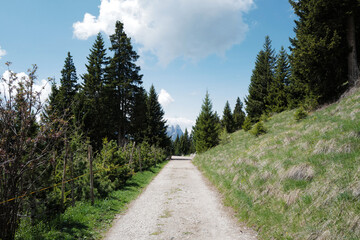Fototapeta premium Natural pathway among landscape of Alpe de Suisse, The Seiser Alm with green meadows, lovely hill range with typical rocky mountains ridge of the dolomites plateau- South Tyrol, Italy