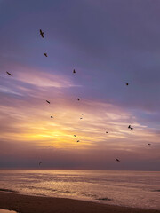 sunrise on the sea
