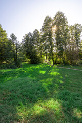 A large field of grass with trees in the background