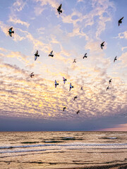 sunrise at the sea