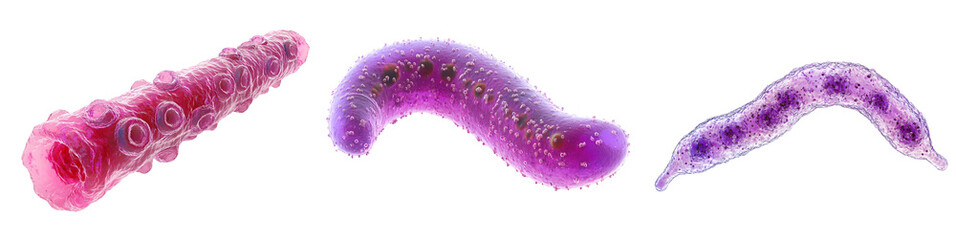A single Mycoplasma cell, smallest known bacteria, isolated on transparent 