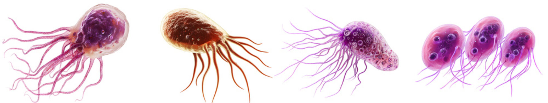 Giardia parasite with its distinct shape, isolated in transparent