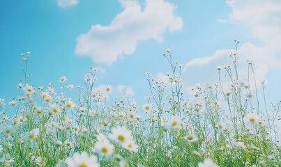 Dreamlike Landscapes and Mystical Gardens with Vibrant Flowers and Glowing Nature