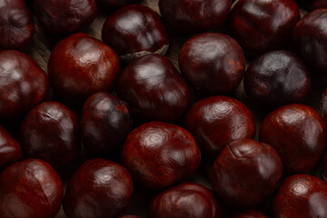 Fresh shiny chestnuts on a wooden table. Close up.