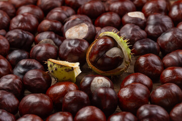 Fresh shiny chestnuts on a wooden table. Close up.