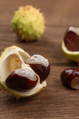 Fresh shiny chestnuts on a wooden table. Close up.