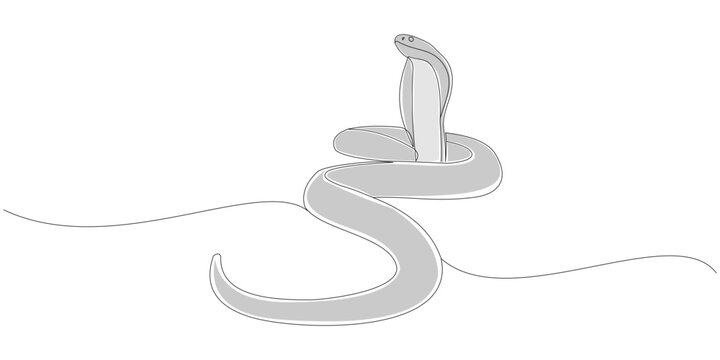 Cobra snake line art vector design