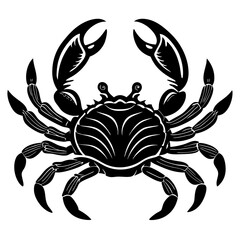 crab isolated on white