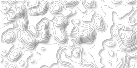 paper cut 3d render topography abstract, beautiful white Background. geometric map relief texture with curved layers and shadow. Realistic papercut decoration textured with wavy vector design.