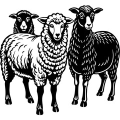 Fototapeta premium set of sheep