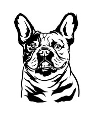 French Bulldog | Friendly Pet | Fur Baby | Peeking French Bulldog | Bulldog | French Bulldog Face | Frenchie | Domestic Animal | Original Illustration | Vector and Clipart | Cutfile and Stencil