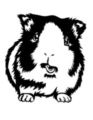 Guinea Pig | Domestic Animal | Guinea Pig Breed | Friendly Animal | Rodent | Guinea Pig Lover | Peeking Guinea Pig | Peeking Animal | Original Illustration | Vector and Clipart | Cutfile and Stencil