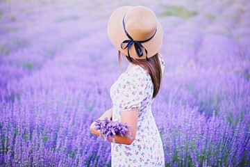 woman in lavender field
