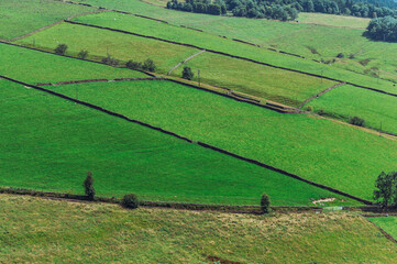 Obraz premium Teggs Nose, Ridgegate Reservoir, Trentabank Reservoir Circular, Peak District National Park, England, UK
