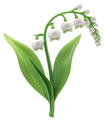 Obraz premium PNG Elegant lily of the valley