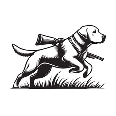 Labrador Retriever holding gun, Labrador Retriever  Hunting Dog and Shotgun
