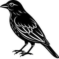 Fototapeta premium animal vector icon