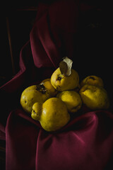 Chiaroscuro Still Life of Fresh Quinces on Deep Red Fabric in Low-Key Lighting