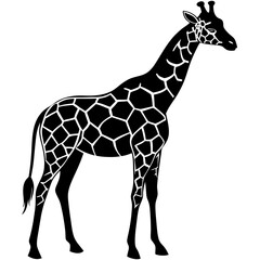 Naklejka premium animal icon vector