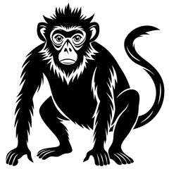 Fototapeta premium animal icon vector