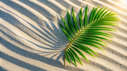 Obraz premium Sunlit tropical leaves create striking shadows on soft white sand, capturing the essence of summer bliss in an abstract background designed for