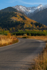 The bend of an asphalt road against the background of picturesque mountains covered with autumn forest on a sunny evening