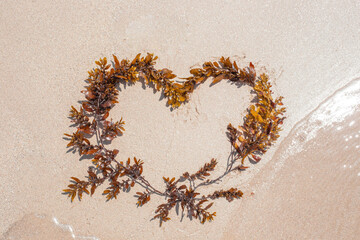 Heart of seaweed on white sand on the seashore. Beautiful romantic background