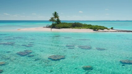Aerial drone view of a small desert island with palm trees surrounded by crystal clear turquoise water. The perfect image for a tropical vacation getaway
