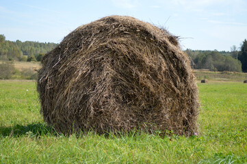 A big haystack in the field