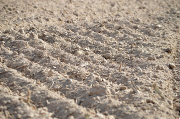 Closeup of dry soil in the field