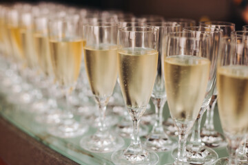 Alcohol setting on catering banquet table, bartender pouring liquor beverages, row line of different colored alcohol drinks on a party, glass of wine, sparkling wine on decorated banquet table event