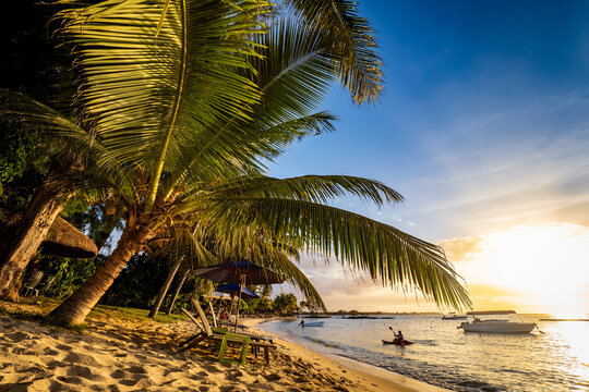 Beautiful view of the stunning tropical beach at Grand Baie, Mauritius, with fine sand and lined with coconut trees at sunset during the golden hour - Powered by Adobe