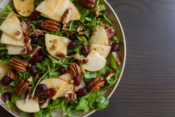  Fall Salad with Arugula, Apples, Cranberries, and Pecans - Close-Up